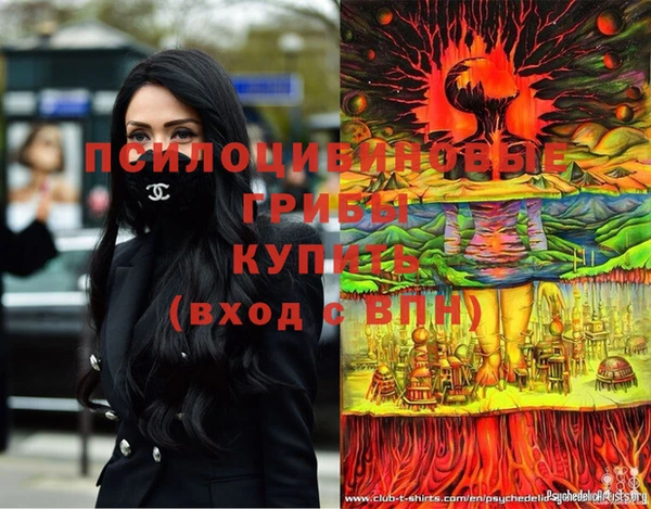 каннабис Аркадак