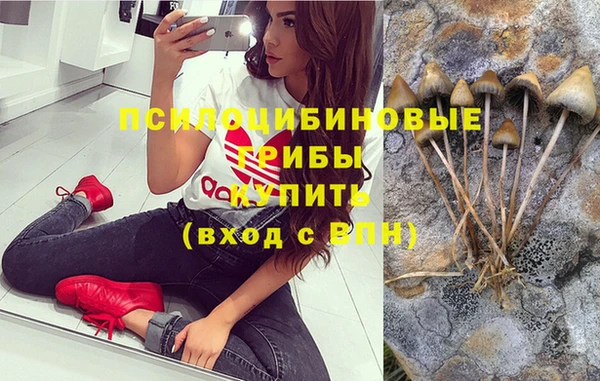 каннабис Аркадак