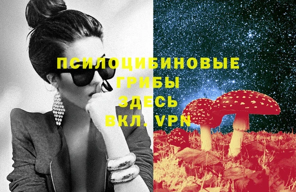 PSILOCYBIN Алексин