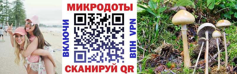 хочу наркоту  Мытищи  Псилоцибиновые грибы GOLDEN TEACHER 